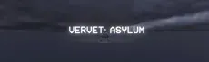 Vervet Asylum hero image