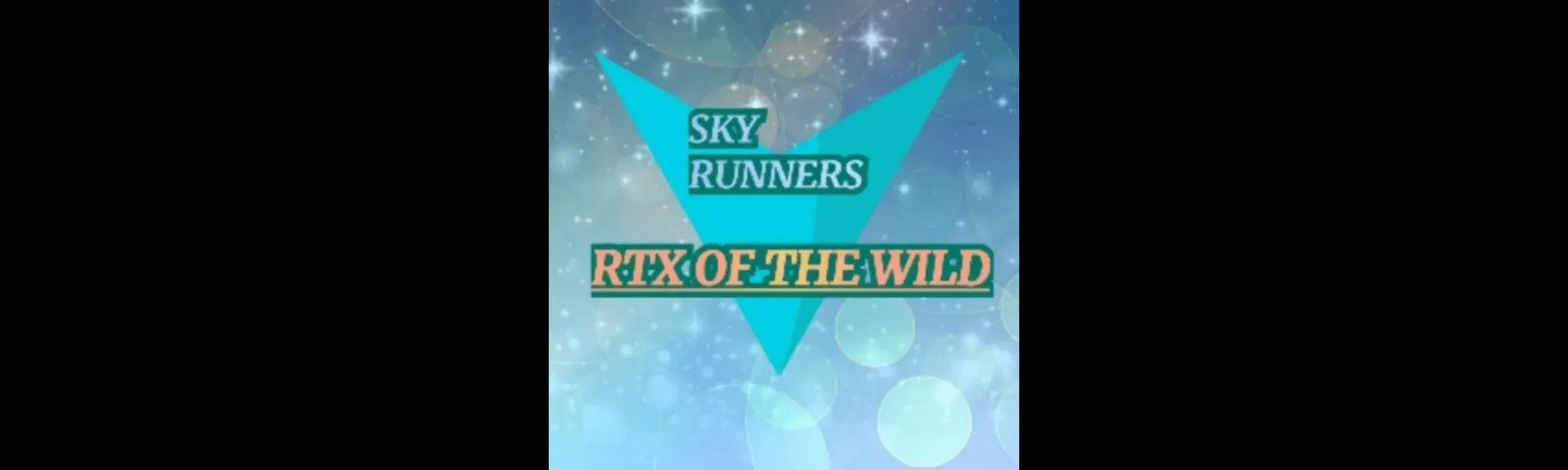 SKY RUNNERS