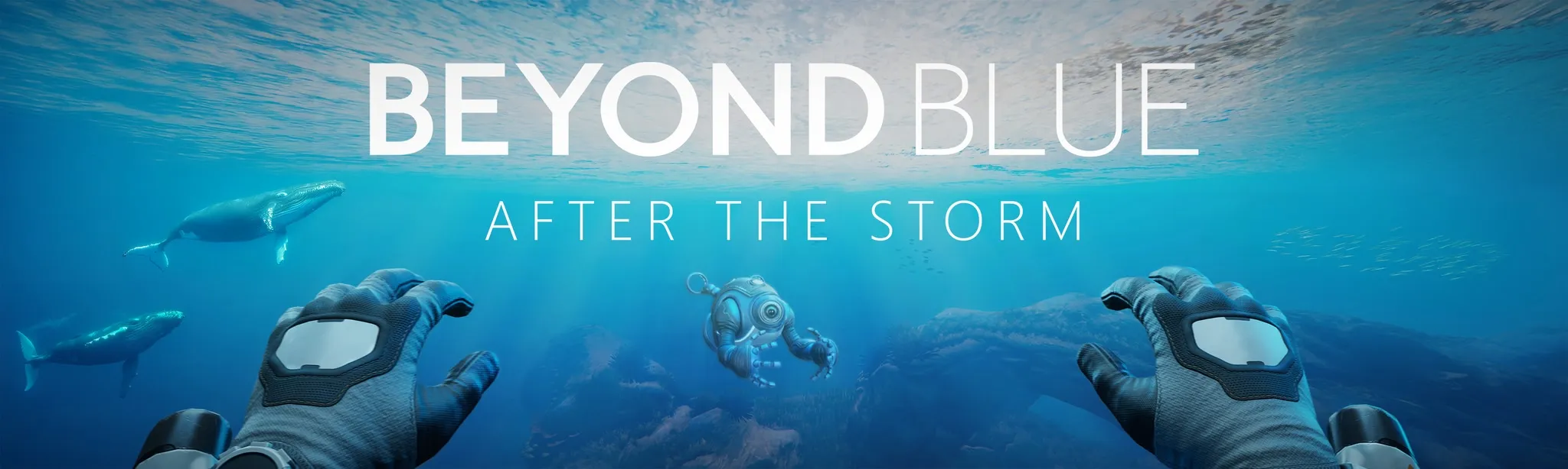 Beyond Blue: After the Storm