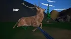 Animal Hunter screenshot 5