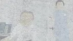 IF YOU SEE A CAT screenshot 5