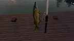 Fishing Simulator Online screenshot 3
