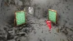 Lobster Tag screenshot 2