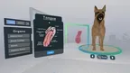Veterinary Anatomy and Physiology screenshot 2