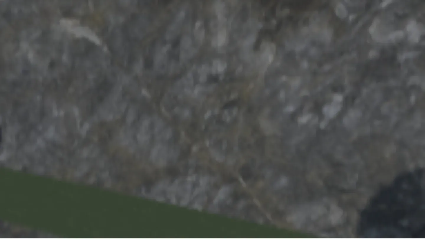 Blaze Tag V5 cover image