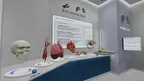 Anatomy Learning Labs: Exploration Lab screenshot 3