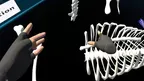 the anatomy of a dog screenshot 2