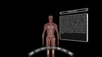 DeepAnatomy VR screenshot 4