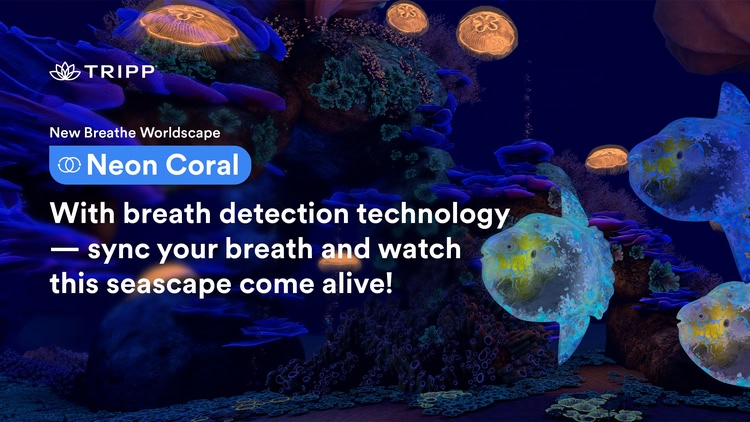 Developer update image for Neon Coral Just Dropped