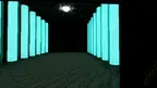Fish screenshot 3