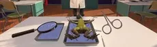 Dissection Simulator: Frog Edition hero image