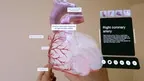 XR Heart Anatomy screenshot 1