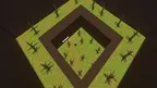 Monkey Explorers screenshot 4
