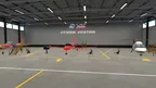 Flight Simulator Mayday screenshot 3