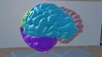 Human Brain Time screenshot 0
