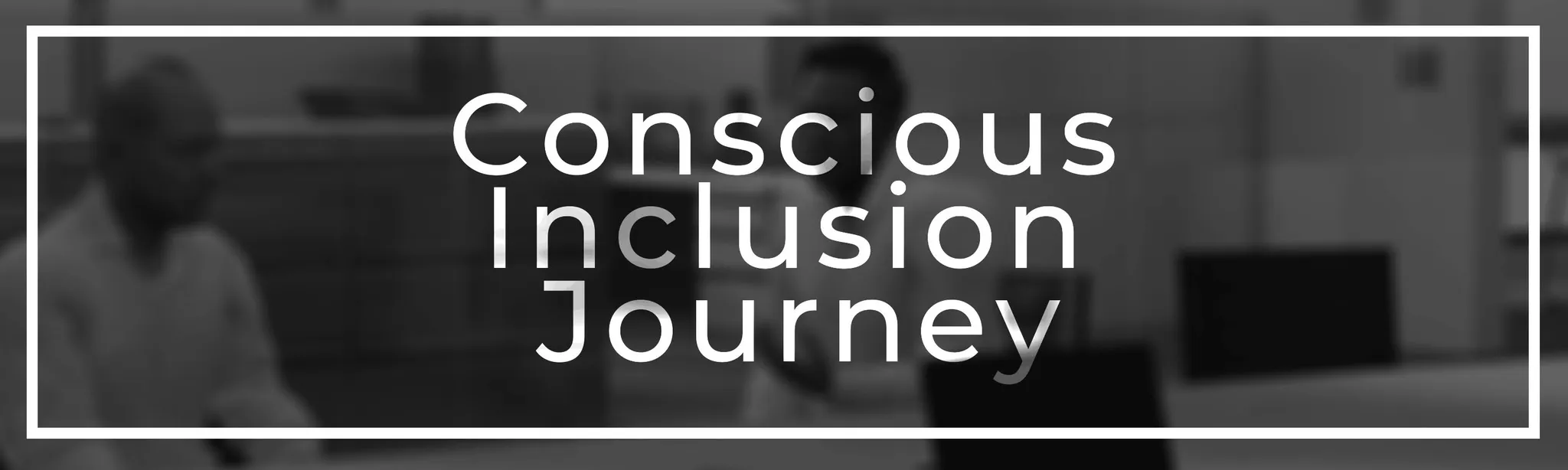 Conscious Inclusion Journey
