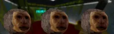 Monkeys Life VR 2 hero image