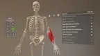 Corpus | Anatomy screenshot 3