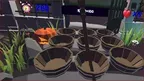 Pumpkin Hammer Bash screenshot 0