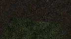 Silly Gorillas screenshot 3