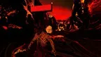 Tales of Tsynara screenshot 1