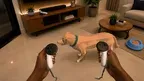 My MR Puppy screenshot 5