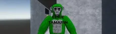 Eerie Tamarin hero image