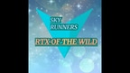 SKY RUNNERS screenshot 1