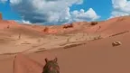 Horseback Riding Adventure screenshot 4