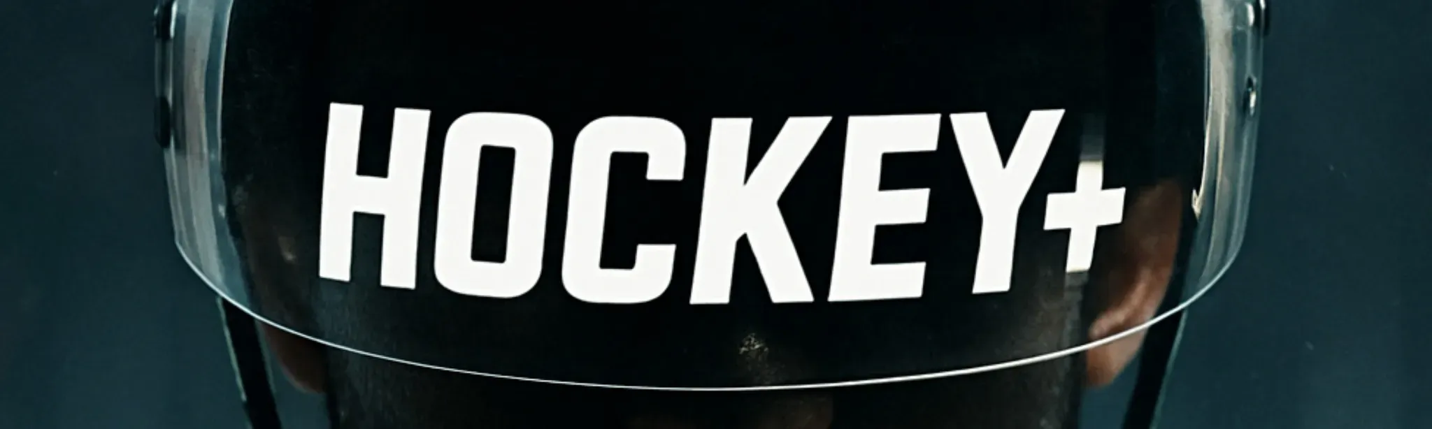 Hockey+ VR