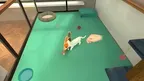 My Petshop Simulator screenshot 1