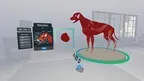 Veterinary Anatomy and Physiology screenshot 4