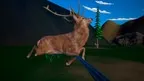 Animal Hunter screenshot 2