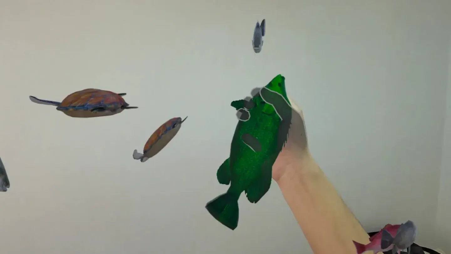MR Fish cover image