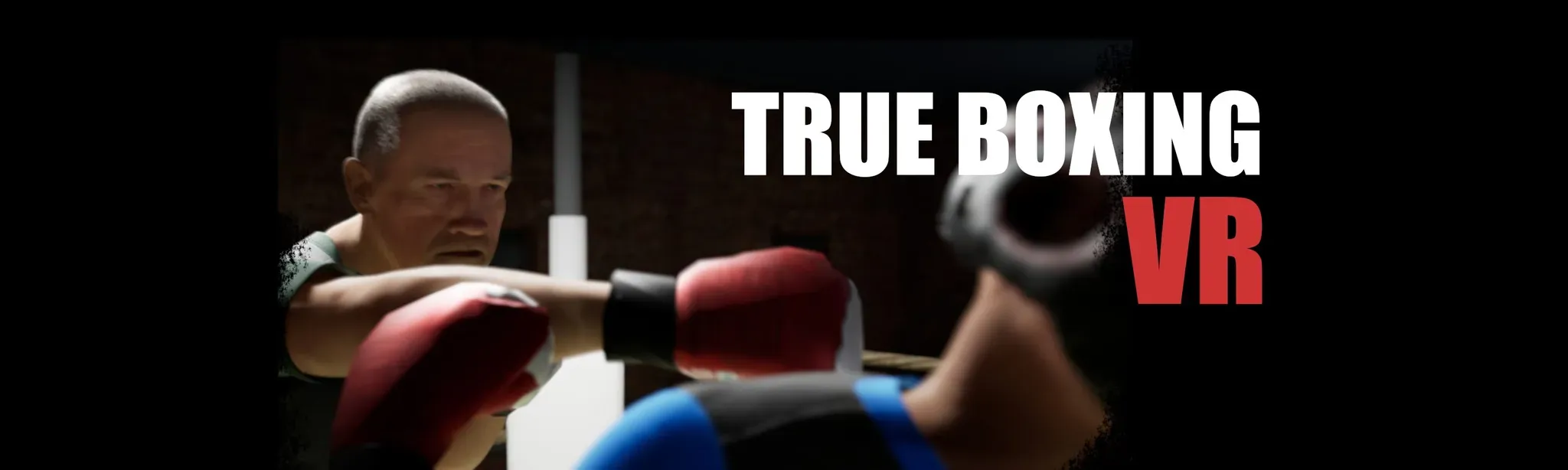 True Boxing VR