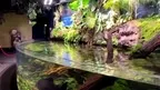 3D Aquarium Paris screenshot 0