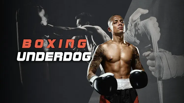 Рейтинговый мультиплеер появился в Boxing Underdog