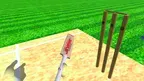 Real Cricket screenshot 0