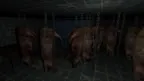 CURSED NIGHT - The House screenshot 3
