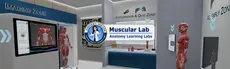 Anatomy Learning Labs: Muscular Lab hero image
