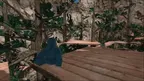 AS Taggers screenshot 2