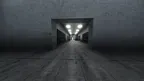 LethalApe screenshot 2