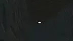 Trash Monke Horror screenshot 1