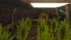 Marmoset Monkeys 2 screenshot 3