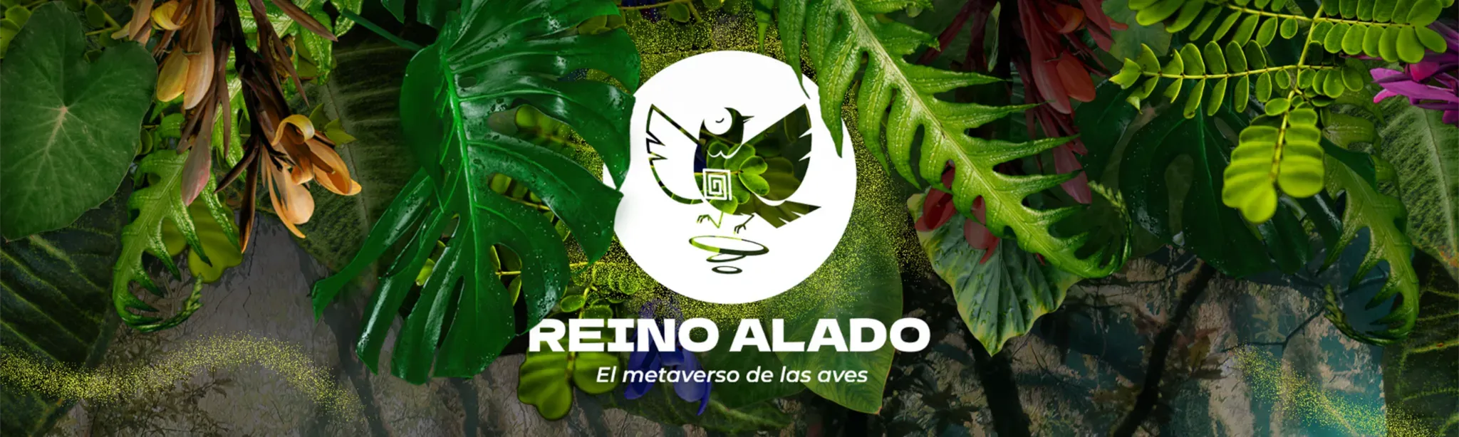 Birdwatching in El Reino Alado