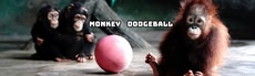 Monkey Dodgeball - Play VR Gun Shooting Games as a Monkey