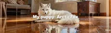 Mypuppy:ArcticFox hero image