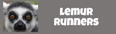 Lemur Runners hero image