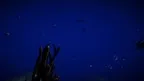Deepsea Horror: Underwater Survival screenshot 3