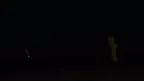 Scary Monke Horror screenshot 2